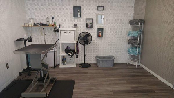 chocolate avenue grooming salon