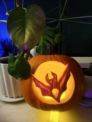 Christopher Estes, DO