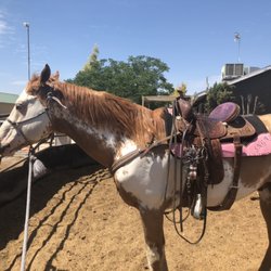 White Wing Stables