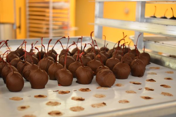 South Bend Chocolate Factory & Tours by null