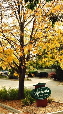 Ambrosia Asian Bistro by null