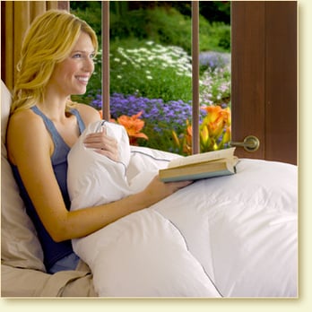 pacific feather outlet