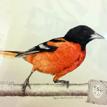 The Vault Art Gallery - Lovely nature and bird art by Lynn Hawkinson Smith - Art Galleries Near Me - Tuscola, Illinois The Vault Art Gallery - Lovely nature and bird art by Lynn Hawkinson Smith - Art Galleries Near Me - Tuscola, Illinois