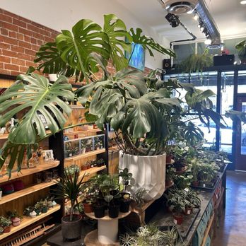 The Plant Mill - Nurseries & Gardening Near Me - Tempe, Arizona
