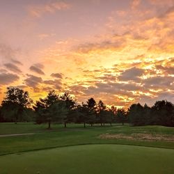 The Bucks Club