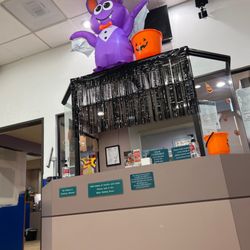 Huntington Plaza Pediatric Group - Halloween spirit