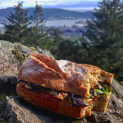 Road to Sooke Cafe - Take your lunch To-go and fuel your adventures down the road or up the trail!