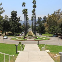 Vida Family Practice - Brand Library park view of Glendale, CA.