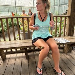 Butterfly House - Just hanging out