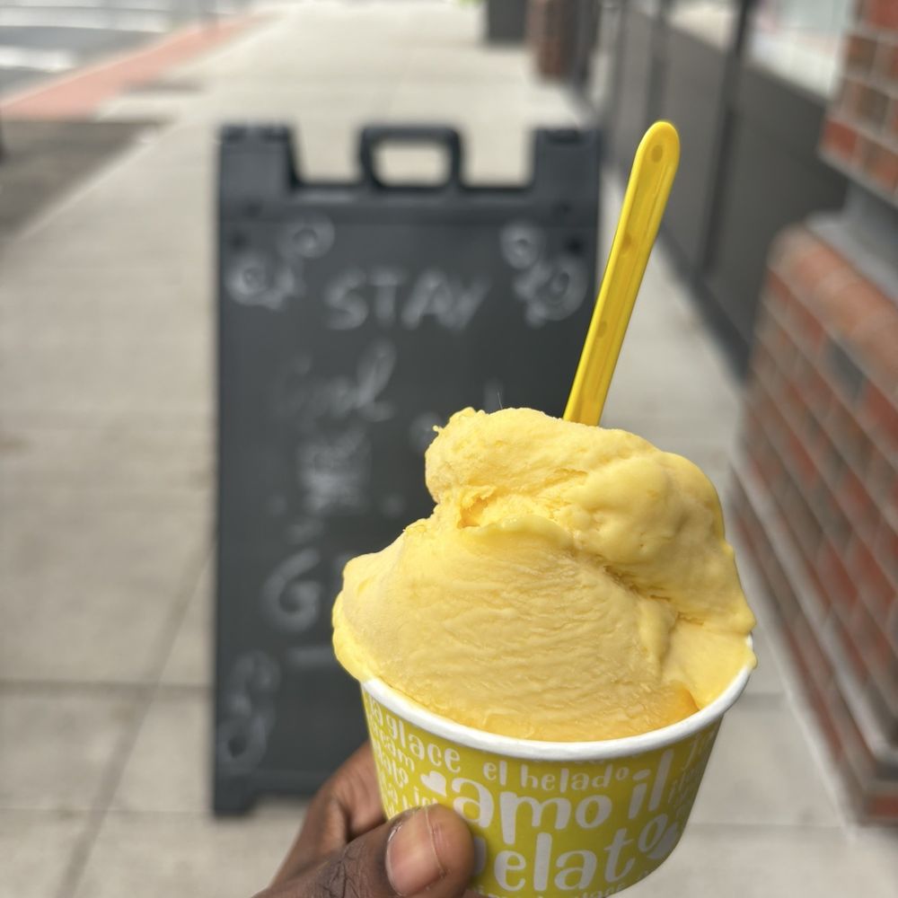 La Fenice - Mango - Gelato Near Me - New Haven, Connecticut La Fenice - Mango - Gelato Near Me - New Haven, Connecticut