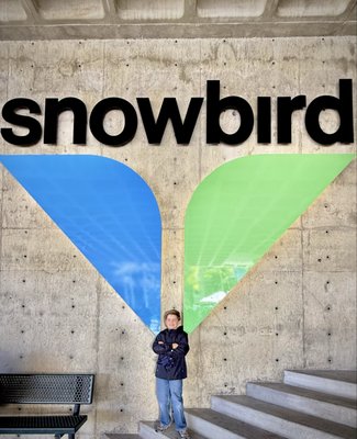 Snowbird by null