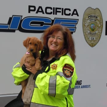 K9 Development - We excel at puppy training and can help you take those critical first steps towards your long term training goals. - Pet Training Near Me - Tracy, California