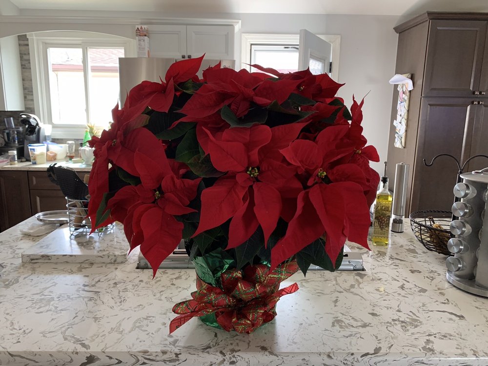 RICHMOND FLOWER SHOP Updated October 2024 69001 N Main St, Richmond