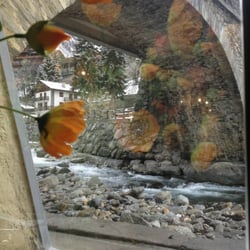 Hotel Tavernier - View from the breakfast room.