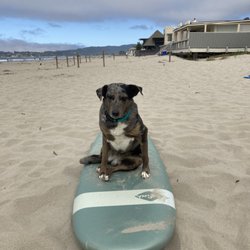 Stinson Beach Surf Camp