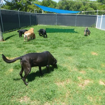 Sheldegren Pet Resort & Salon