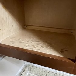 Progress Residential - Suspicious mold
