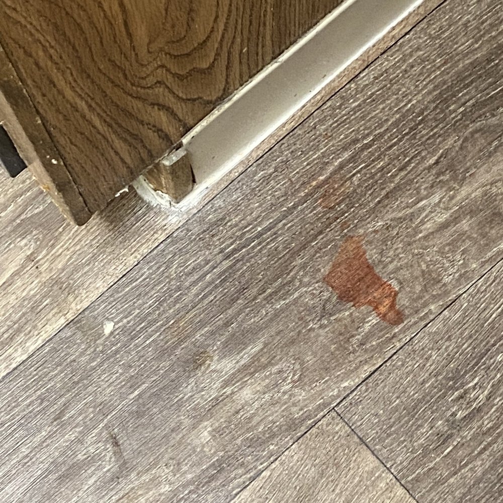 Two Maids - Gilbert - Red stain still on kitchen floor - Home Cleaning Near Me - Gilbert, Arizona Two Maids - Gilbert - Red stain still on kitchen floor - Home Cleaning Near Me - Gilbert, Arizona