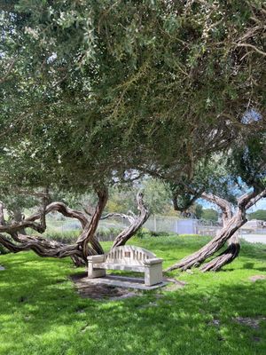 Sand Dune Park by null