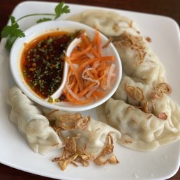 Chicken Dumplings