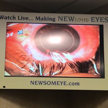 Gorgeous Newsom Eye Carrollwood View Art Gorgeous Newsom Eye Carrollwood View Art