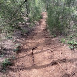 Easier part of the trail