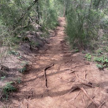 Ehukai Pillbox Hike - Easier part of the trail - Hiking Near Me - Haleiwa, Hawaii