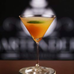 Bartenders On Wheels - Mango martini