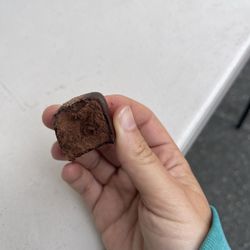Downtown Berkeley Farmers' Market - Raw fudge by Coracao