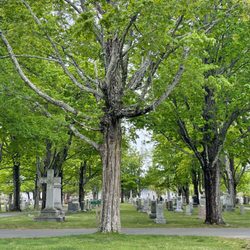 The Irish Round Tower - The Beautiful Irish Round Tower looks like the  Devenish Tower in Ireland & is surrounded by greenery & a pond @ St. Mary's Cemetery Milford