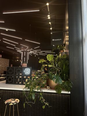 Mockingbird Cafe by null