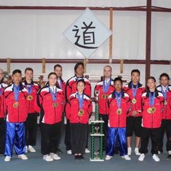 Li's Chinese Martial Arts & Internal Healing Center