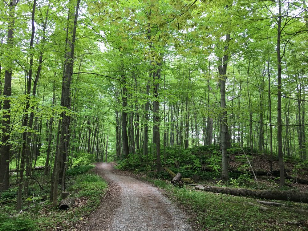 JOHN E PEARCE PROVINCIAL PARK Updated July 2024 29424 Lakeview Line