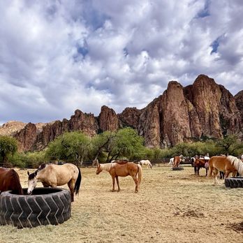 Saguaro Lake Guest Ranch - Resorts Near Me - Mesa, Arizona Saguaro Lake Guest Ranch - Resorts Near Me - Mesa, Arizona