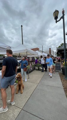 South End Farmers Market by null