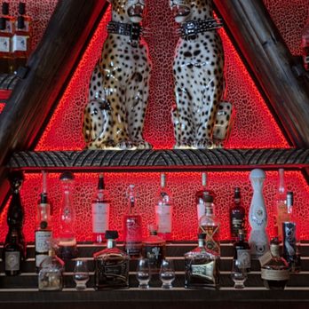 Roka Hula - bar area decor - Tiki Bars Near Me - Delray Beach, Florida Roka Hula - bar area decor - Tiki Bars Near Me - Delray Beach, Florida