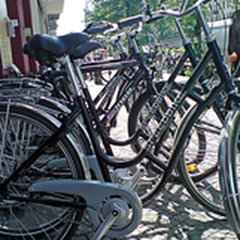 Lila Bike - Bike Rentals Near Me - Berlin, BE