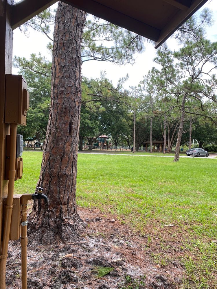 FOX LAKE PARK Updated October 2024 4400 Fox Lake Rd, Titusville