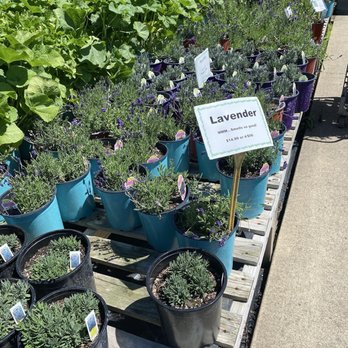 Robins Nursery - Nurseries & Gardening Near Me - Xenia, Ohio