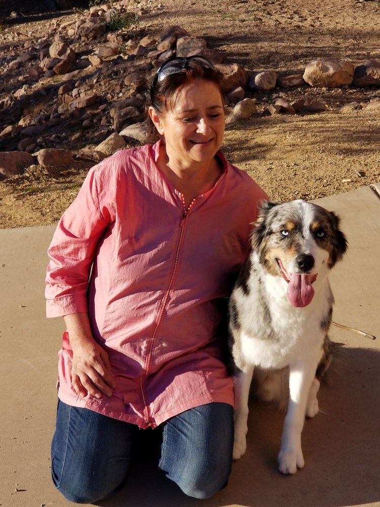 BEAUTIFUL BOW WOW MOBILE DOG GROOMING 100 Photos Pet Groomers