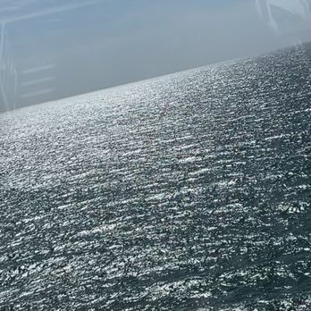 Hotel Grand Paramar - View from the pool. Beautiful endless water, dolphins, whales, paragliders.... - Hotels Near Me - Puerto Vallarta, JAL Hotel Grand Paramar - View from the pool. Beautiful endless water, dolphins, whales, paragliders.... - Hotels Near Me - Puerto Vallarta, JAL