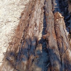 Highland Tree Service & Firewood - Cedar Posts large and small,Highland Tree Service &Firewood Supply ,has them all.phone 512-529-2566