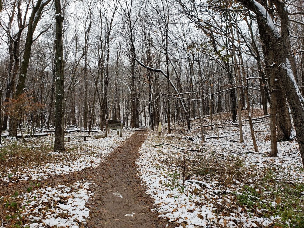 FOREST PARK NATURE CENTER 21 Photos & 12 Reviews Parks 5809 N
