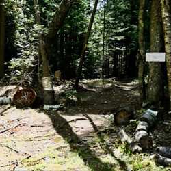 Birdsacre - Walking Trail