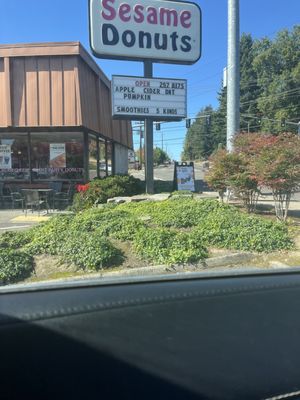 Sesame Donuts by null