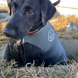 Cinder