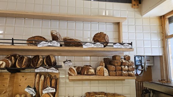 Panificio Bonci by null