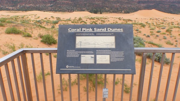 Coral Pink Sand Dunes State Park by null