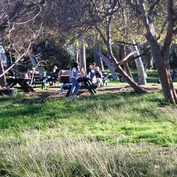 Hopkins Wilderness Park - Parks Near Me - Redondo Beach, California