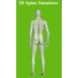 Today's Chiropractic Clinic - 3D Spine Simulator